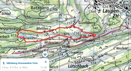 Wanderung Hiltisberg (Gemeinde Wald)  über den Grossweiher